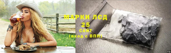 прущие грибы Аркадак