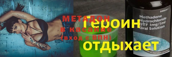 прущие грибы Аркадак