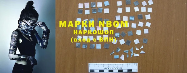 прущие грибы Аркадак