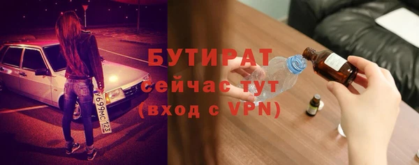 прущие грибы Аркадак
