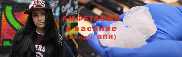 прущие грибы Аркадак