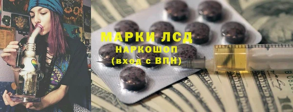 прущие грибы Аркадак